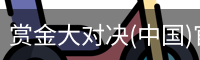 赏金大对决